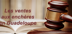 Les ventes aux enchères
