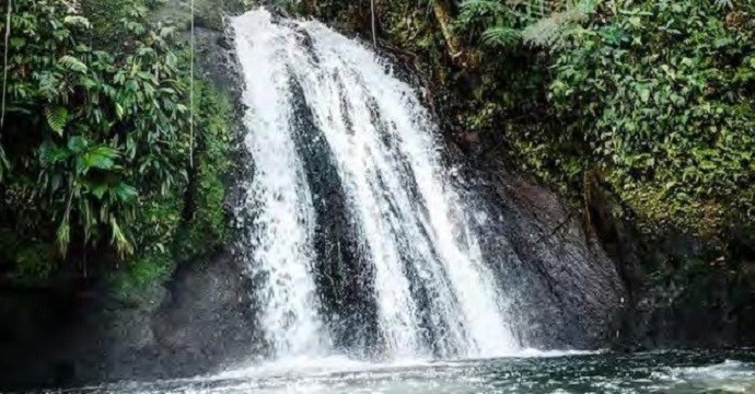 La première agence régionale de la biodiversité d’outre-mer voit le jour en Guadeloupe