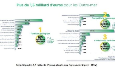 Aide à la reprise économique : le bilan de France Relance en Outre-mer