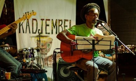 Enquête sur les pratiques culturelles : la musique, star des Antilles-Guyane