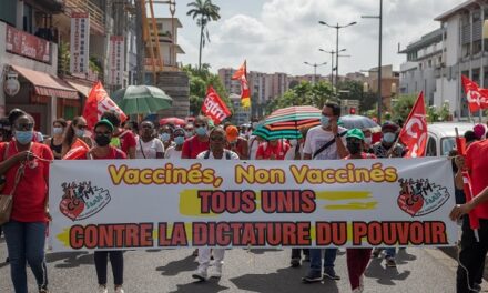 Obligation vaccinale des soignants : une mission flash sur les Antilles-Guyane