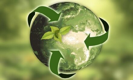 Des aides pour limiter l’impact environnemental des activités économiques