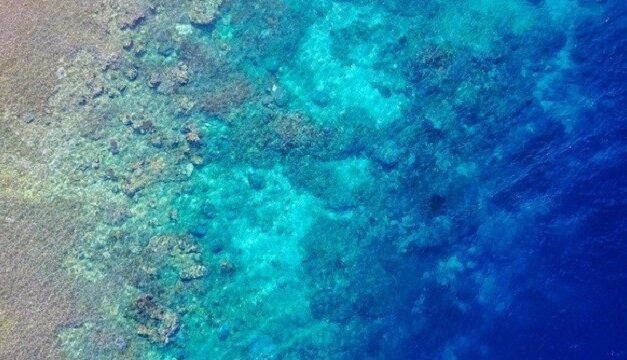 Fonds marins : une association insuffisante des territoires ultramarins