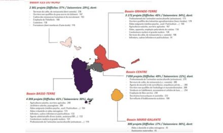 17.305 intentions d’embauche en Guadeloupe en 2022