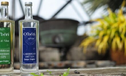 O’béri, le 1er gin “made in Gwada”