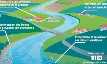 PROTÉGER les berges de cours d’eau grâce au génie naturel