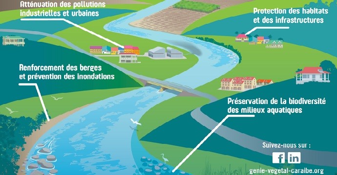 PROTÉGER les berges de cours d’eau grâce au génie naturel