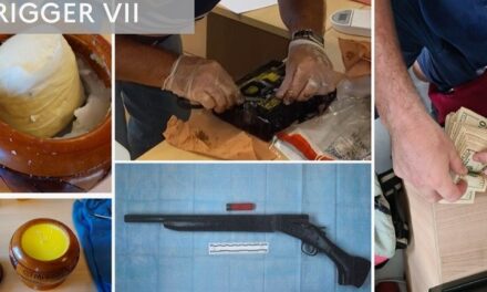 Interpellations et saisies d’armes dans une grande opération de police internationale en Guadeloupe