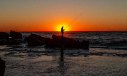 Une étude inédite sur les retombées de la pêche de loisir aux Antilles