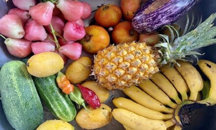 L’alimentation : premier poste de dépense des guadeloupéens