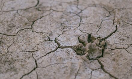 Sécheresse et manque d’accès à l’eau en outre-mer, l’ONU tire la sonnette d’alarme