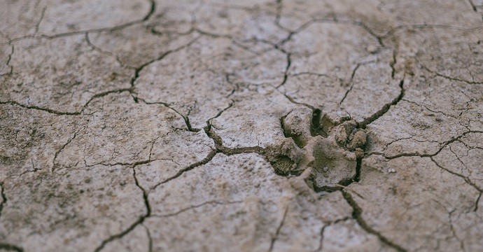 Sécheresse et manque d’accès à l’eau en outre-mer, l’ONU tire la sonnette d’alarme