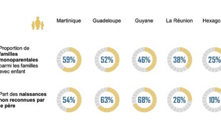 Parentalité dans les Outre-mer : un rapport pour mieux accompagner les familles