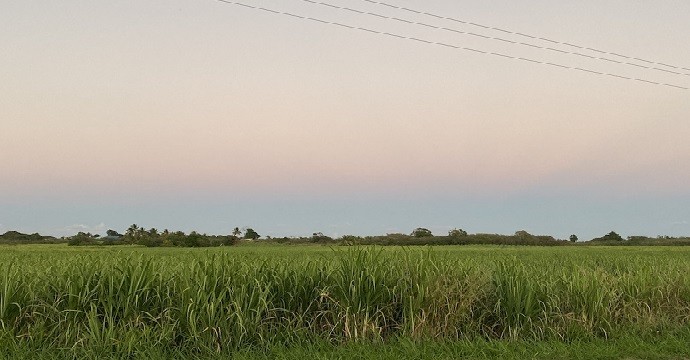 Foncier agricole : une « reconquête » nécessaire pour atteindre la souveraineté alimentaire