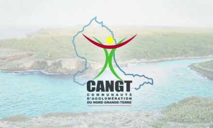 CANGT : une population en déclin, mais moins que dans le reste de l’archipel