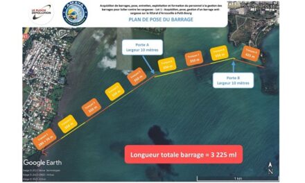 Lutte anti-sargasses : où en est-on en Guadeloupe ?