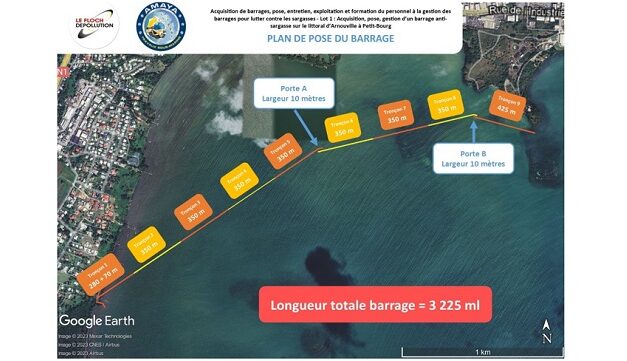 Lutte anti-sargasses : où en est-on en Guadeloupe ?