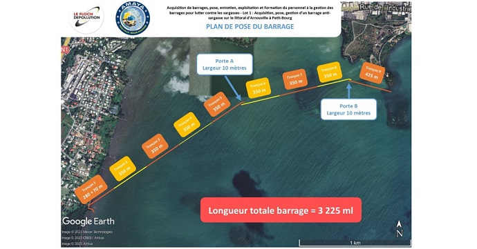 Lutte anti-sargasses : où en est-on en Guadeloupe ?