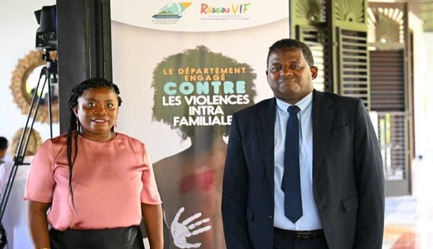Le réseau VIF mis en place par le Département pour lutter contre les violences intrafamiliales