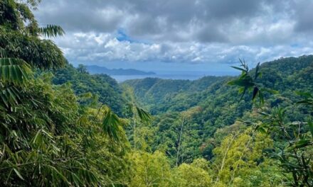 Stratégie nationale biodiversité 2030 : quelle place pour les Outre-mer ?