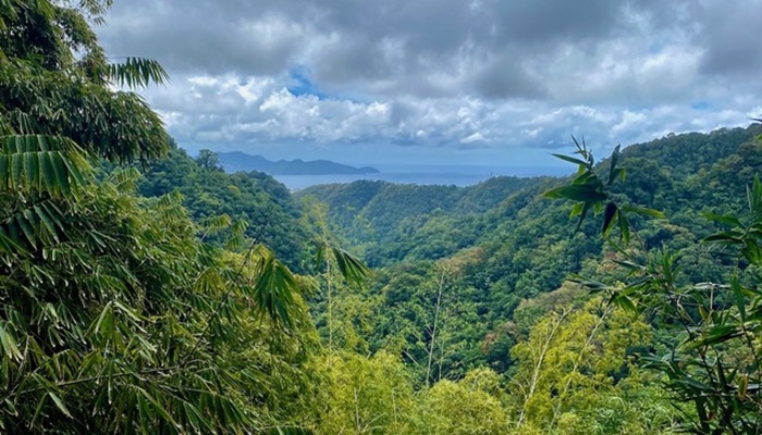 Stratégie nationale biodiversité 2030 : quelle place pour les Outre-mer ?