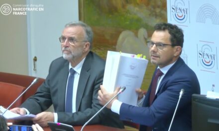 Lutte contre le narcotrafic : les Antilles-Guyane délaissées par l’État selon un rapport
