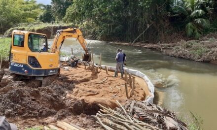 Génie écologique : le parc national de Guadeloupe primé