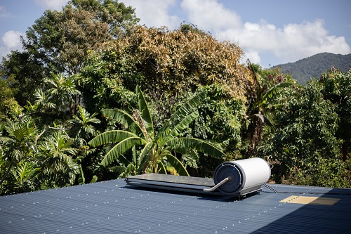 Énergies renouvelables et gestion des déchets : les avancées de l’ADEME en Outre-mer en 2024