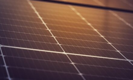 Énergies renouvelables en hausse et consommation en baisse