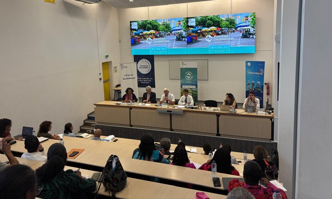 Le comité de pilotage local fait le point sur la stratégie chlordécone