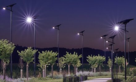 LED solaires : pollution lumineuse et impact sur la santé et la biodiversité
