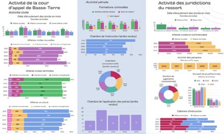 Une année judiciaire historique pour la cour d’appel de Basse-Terre