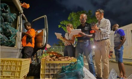 Chlordécone : des denrées alimentaires contrôlées sur le marché de Bergevin
