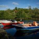 Renouvellement navires de pêche : l’Europe ouvre la voie à des aides
